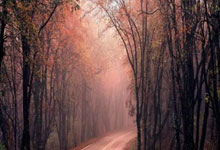 今天英冠比赛有哪些亮点和冷门？