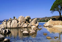 加布里埃尔·马丁内利，阿森纳的宝藏新星是如何炼成的？